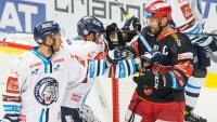 hokej hradec 5